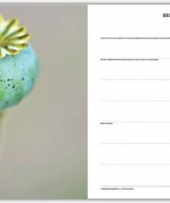 Korting 🔥 Merkloos Roots Natuuragenda 2023 😀 -ACROPAQ Shop 550x367 12