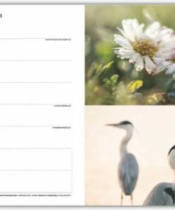 Korting 🔥 Merkloos Roots Natuuragenda 2023 😀 -ACROPAQ Shop 550x367 13