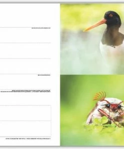 Korting 🔥 Merkloos Roots Natuuragenda 2023 😀 -ACROPAQ Shop 550x367 14