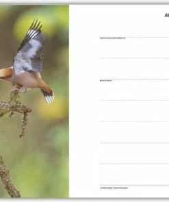 Korting 🔥 Merkloos Roots Natuuragenda 2023 😀 -ACROPAQ Shop 550x367 15