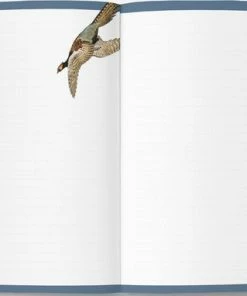 Aanbiedingen ๐งจ P. Van Mastrigt Agenda 2023 - Vogelprenten Van De Japanse Meester Koson (13x18cm) - Incl. 4 Ansichtkaarten Met Vogels - Koolmezen Op Bloesemtak ๐ 16 Aanbiedingen ๐งจ P. Van Mastrigt Agenda 2023 - Vogelprenten Van De Japanse Meester Koson (13x18cm) - Incl. 4 Ansichtkaarten Met Vogels - Koolmezen Op Bloesemtak ๐ -ACROPAQ Shop 550x382 1