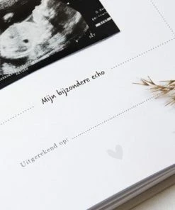 Goedkoop 👍 PinkPeach Pink Peach Mijn 9 Maanden Invulboek 😀 -ACROPAQ Shop 550x387 3