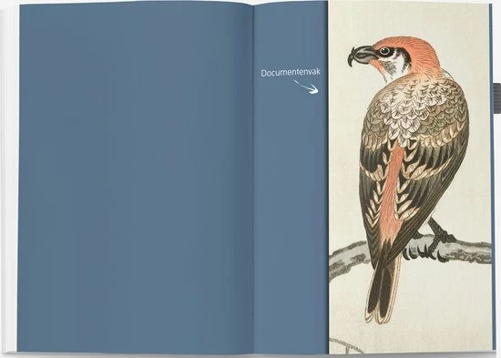 Aanbiedingen ๐งจ P. Van Mastrigt Agenda 2023 - Vogelprenten Van De Japanse Meester Koson (13x18cm) - Incl. 4 Ansichtkaarten Met Vogels - Koolmezen Op Bloesemtak ๐ 9 Aanbiedingen ๐งจ P. Van Mastrigt Agenda 2023 - Vogelprenten Van De Japanse Meester Koson (13x18cm) - Incl. 4 Ansichtkaarten Met Vogels - Koolmezen Op Bloesemtak ๐ - Afbeelding 7