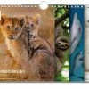 Coupon ✨ Bekking & Blitz - Wereldnatuurfonds Familie Planner 2023 - WWF Familieplanner 2023 - Natuur - Dieren - Wandmodel Met Ophangoog - Maandoverzicht Op 1 Pagina - Ruime Voor De Planning Van 5 Personen 💯 -ACROPAQ Shop 550x398