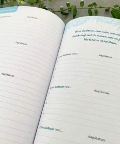 Beste deal 🤩 Mark Verhees Dankbaarheid Dagboek - Voor Positiviteit - Dankbaarheidsdagboek 👍 -ACROPAQ Shop 550x412 5