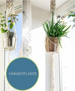 Goedkoop 🔔 Fein Choice®️ Premium Macrame Koord 3mm X 200m, 100% Natuurlijke Katoenen Garen Voor DIY, Macrame Touw Voor Boho Decoratie, Wandhangers, Plantenhangers, Breien, Dromenvanger (Beige) 🎁 -ACROPAQ Shop 550x533