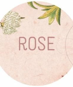 Beste deal ✨ Pimpelmees Family Planner 2023 - Rose FSC 🤩 -ACROPAQ Shop 550x550 229