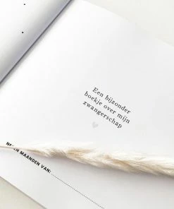 Goedkoop 👍 PinkPeach Pink Peach Mijn 9 Maanden Invulboek 😀 -ACROPAQ Shop 550x550 308