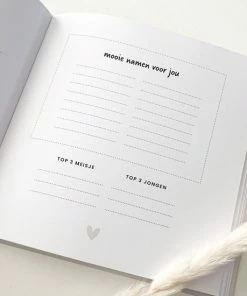 Goedkoop 👍 PinkPeach Pink Peach Mijn 9 Maanden Invulboek 😀 -ACROPAQ Shop 550x550 310