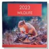 Goedkoop β€οΈ IGdesign Wilde Dieren Kalender - 2023 - Maandkalender - 28x28cm 𧨠2 Goedkoop β€οΈ IGdesign Wilde Dieren Kalender - 2023 - Maandkalender - 28x28cm 𧨠-ACROPAQ Shop 550x550 317