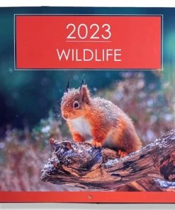Goedkoop ❤️ IGdesign Wilde Dieren Kalender - 2023 - Maandkalender - 28x28cm 🧨