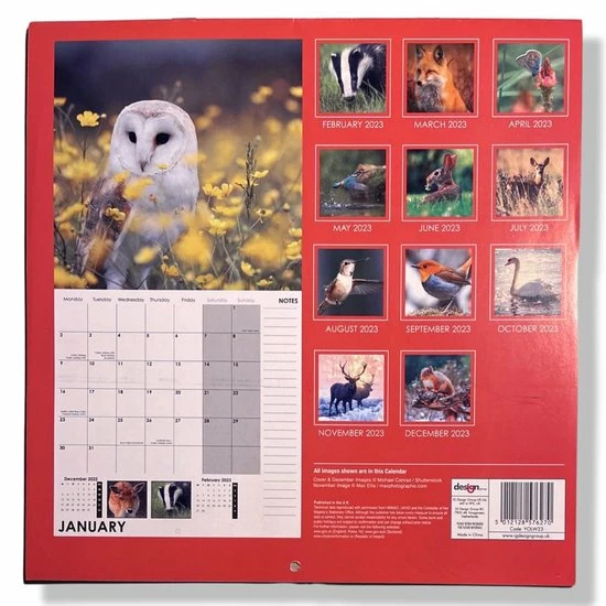 Goedkoop β€οΈ IGdesign Wilde Dieren Kalender - 2023 - Maandkalender - 28x28cm 𧨠4 Goedkoop β€οΈ IGdesign Wilde Dieren Kalender - 2023 - Maandkalender - 28x28cm 𧨠- Afbeelding 2