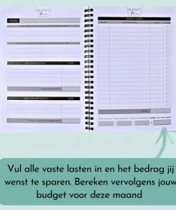 Korting 😍 Vultera Budget Planner - Krijg Overzicht In Je Uitgaven - Kasboek - Kakeibo - Budgetplanner 👍 -ACROPAQ Shop 550x550 46