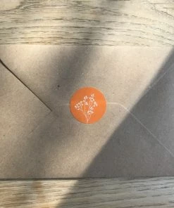 Flash-uitverkoop ๐ Meer Van Moos 100 C6 Kraft Enveloppen + 100 Sluitstickers - 11,4 X 16,2 Cm - Gerecyclede Enveloppen - Eco-enveloppen ๐ฅฐ 13 Flash-uitverkoop ๐ Meer Van Moos 100 C6 Kraft Enveloppen + 100 Sluitstickers - 11,4 X 16,2 Cm - Gerecyclede Enveloppen - Eco-enveloppen ๐ฅฐ -ACROPAQ Shop 550x550 543