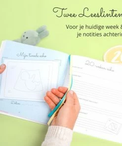 Korting 😀 Beppie Zwangerschapsdagboek – Mijn 9 Maanden Zwangerschap Dagboek – Negen Maanden Zwanger Invulboek – Zwangerschapsboek Cadeau 🥰 -ACROPAQ Shop 550x550 562
