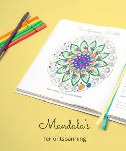 Korting 😀 Beppie Zwangerschapsdagboek – Mijn 9 Maanden Zwangerschap Dagboek – Negen Maanden Zwanger Invulboek – Zwangerschapsboek Cadeau 🥰 -ACROPAQ Shop 550x550 583