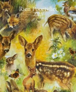 Beste Pirce 😉 Plenty Gifts Rien Poortvliet Natuur Kalender 2023 🛒