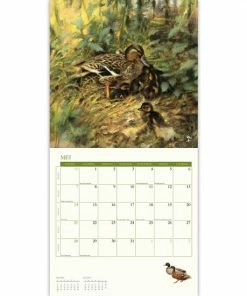Beste Pirce π Plenty Gifts Rien Poortvliet Natuur Kalender 2023 π 7 Beste Pirce π Plenty Gifts Rien Poortvliet Natuur Kalender 2023 π -ACROPAQ Shop 550x550 919