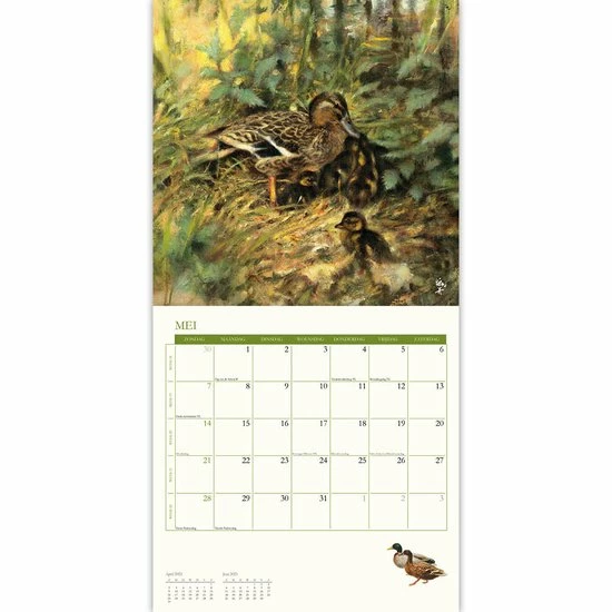 Beste Pirce π Plenty Gifts Rien Poortvliet Natuur Kalender 2023 π 5 Beste Pirce π Plenty Gifts Rien Poortvliet Natuur Kalender 2023 π - Afbeelding 3