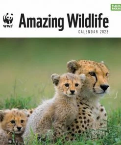 Goedkoopste 🌟 CAROUSEL CALENDARS WWF Amazing Wildlife Kalender 2023 ❤️