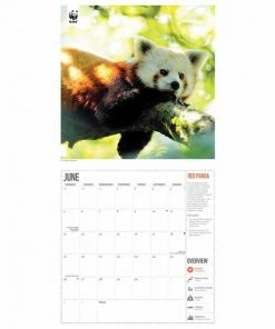Goedkoopste 🌟 CAROUSEL CALENDARS WWF Amazing Wildlife Kalender 2023 ❤️ -ACROPAQ Shop 550x550 952