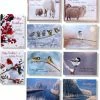 Uitgang ✔️ Cards & Crafts 50 Luxe Kerst- En Nieuwjaarskaarten Met Pen - 9,5x14cm - 10 X 5 Dubbele Kaarten Met Enveloppen - Serie Joy ⭐ -ACROPAQ Shop 550x588 1