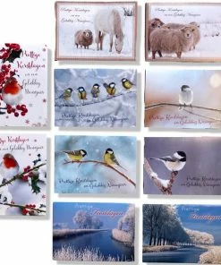 Uitgang ✔️ Cards & Crafts 50 Luxe Kerst- En Nieuwjaarskaarten Met Pen - 9,5x14cm - 10 X 5 Dubbele Kaarten Met Enveloppen - Serie Joy ⭐