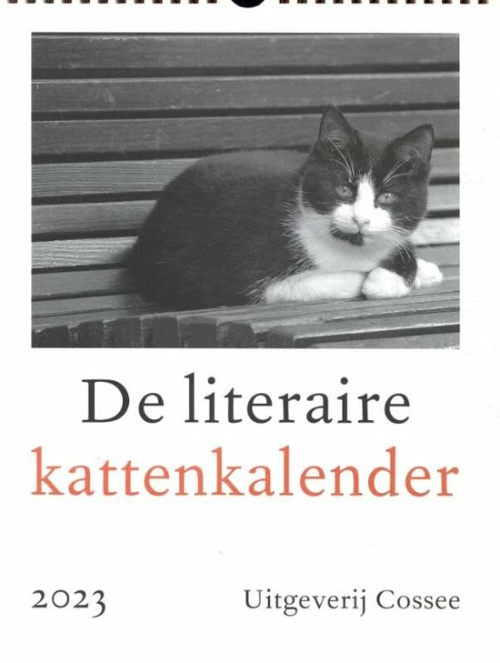 Beste Verkoop π₯° Merkloos Literaire Kattenkalender 2023 β 3 Beste Verkoop π₯° Merkloos Literaire Kattenkalender 2023 β