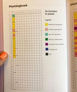 Beste Verkoop ⌛ Cynthia Schultz Structuurjunkie Dagboek ✨ 21 Beste Verkoop ⌛ Cynthia Schultz Structuurjunkie Dagboek ✨ -ACROPAQ Shop 550x733 1