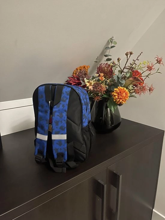 Nieuw π Pokemon Pikachu Rugzak - Rugtas - Basisschool - Blauw/geel π 5 Nieuw π Pokemon Pikachu Rugzak - Rugtas - Basisschool - Blauw/geel π - Afbeelding 3