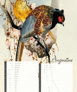 Nieuw 😍 Studio Colori Verjaardagskalender Vogelprenten Van De Japanse Meester Koson - Wandkalender A4 - Niet Jaargebonden 🥰 -ACROPAQ Shop 550x778 11