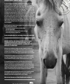 Beste Pirce ๐ Horse And Hunk Kalender 2023 ๐งจ 19 Beste Pirce ๐ Horse And Hunk Kalender 2023 ๐งจ -ACROPAQ Shop 550x779 6