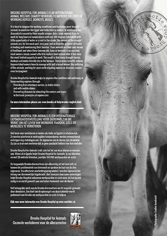 Beste Pirce ๐ Horse And Hunk Kalender 2023 ๐งจ 5 Beste Pirce ๐ Horse And Hunk Kalender 2023 ๐งจ - Afbeelding 3