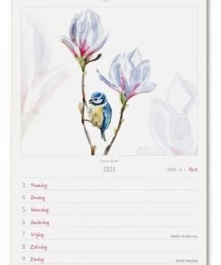 Kopen ⌛ Bekking & Blitz - Weeknotitiekalender 2023 - Michelle Dujardin - Vogels - Birds - Weekkalender 2023- Wandkalender - 17 X 25 Cm - Museumkalender - Rijk Geïllustreerd - Voorzien Van Weeknummers 🎉 -ACROPAQ Shop 550x802 1