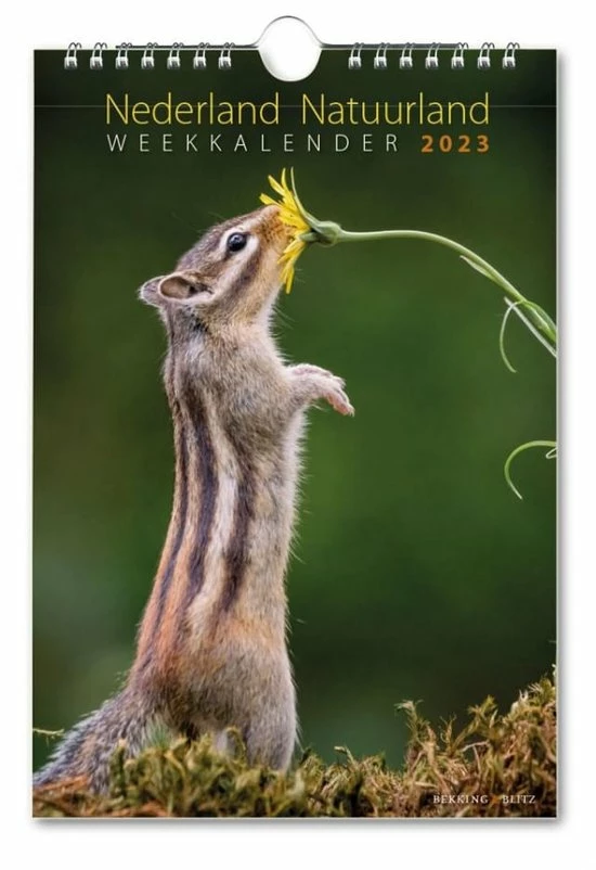 Coupon 𧨠Bekking & Blitz - Weeknotitiekalender 2023 - Nederland Natuurland Weekkalender 2023 - Wandkalender - 17 X 25 Cm - Museumkalender - Rijk Geïllustreerd - Voorzien Van Weeknummers β 3 Coupon 𧨠Bekking & Blitz - Weeknotitiekalender 2023 - Nederland Natuurland Weekkalender 2023 - Wandkalender - 17 X 25 Cm - Museumkalender - Rijk Geïllustreerd - Voorzien Van Weeknummers β