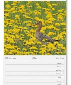 Coupon 𧨠Bekking & Blitz - Weeknotitiekalender 2023 - Nederland Natuurland Weekkalender 2023 - Wandkalender - 17 X 25 Cm - Museumkalender - Rijk Geïllustreerd - Voorzien Van Weeknummers β 6 Coupon 𧨠Bekking & Blitz - Weeknotitiekalender 2023 - Nederland Natuurland Weekkalender 2023 - Wandkalender - 17 X 25 Cm - Museumkalender - Rijk Geïllustreerd - Voorzien Van Weeknummers β -ACROPAQ Shop 550x802 3