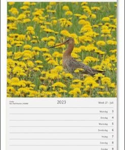 Coupon 𧨠Bekking & Blitz - Weeknotitiekalender 2023 - Nederland Natuurland Weekkalender 2023 - Wandkalender - 17 X 25 Cm - Museumkalender - Rijk Geïllustreerd - Voorzien Van Weeknummers β 7 Coupon 𧨠Bekking & Blitz - Weeknotitiekalender 2023 - Nederland Natuurland Weekkalender 2023 - Wandkalender - 17 X 25 Cm - Museumkalender - Rijk Geïllustreerd - Voorzien Van Weeknummers β -ACROPAQ Shop 550x802 4