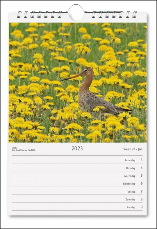 Coupon 𧨠Bekking & Blitz - Weeknotitiekalender 2023 - Nederland Natuurland Weekkalender 2023 - Wandkalender - 17 X 25 Cm - Museumkalender - Rijk Geïllustreerd - Voorzien Van Weeknummers β 5 Coupon 𧨠Bekking & Blitz - Weeknotitiekalender 2023 - Nederland Natuurland Weekkalender 2023 - Wandkalender - 17 X 25 Cm - Museumkalender - Rijk Geïllustreerd - Voorzien Van Weeknummers β - Afbeelding 3