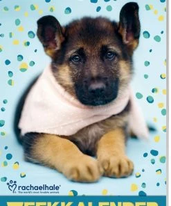 Flash-uitverkoop ⌛ Interstat Rachael Hale - Weekkalender - Puppy's - Hond - 2023 😀